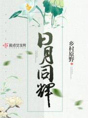 日月同辉 小说封面