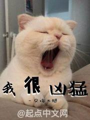 我很凶猛封面