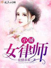 小城女律师封面