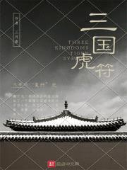 三国虎符封面