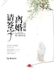 迟律师，离婚请签字封面