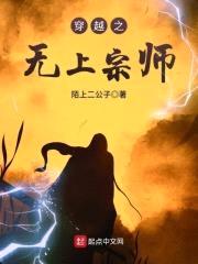 穿越之无上宗师封面