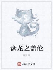 盘龙之盖伦封面