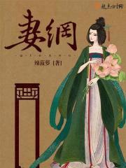 妻纲封面