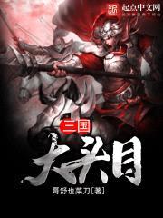 三国大头目封面