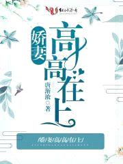 娇妻高高在上封面