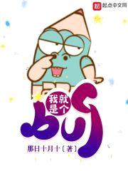 我就是个bug封面
