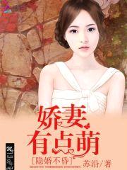隐婚不昏：娇妻有点萌封面