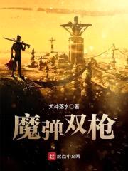 魔弹双枪封面