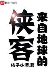 来自地球的侠客封面