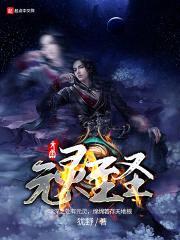 元灵至圣封面
