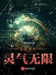 圣职者的灵气无限封面