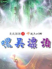 嘿吴漂泊封面