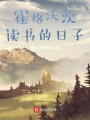 哈利波特之炼金术师封面