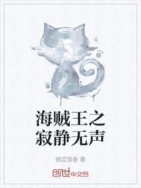 海贼王之无声暗杀者封面