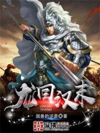 龙回汉末封面