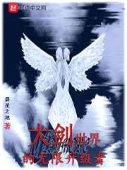 大剑世界的无限升级者封面