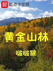 黄金山林封面