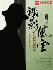 谍影风云封面