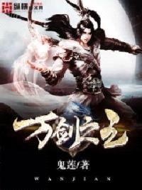 万剑之主封面