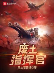 废土指挥官封面