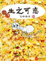 生之可恋封面