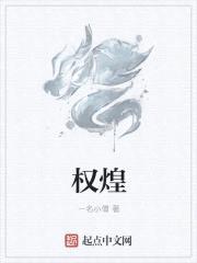权煌封面