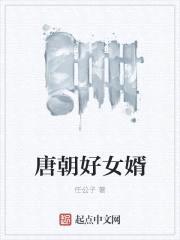 唐朝好女婿封面