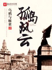 孤岛风云封面