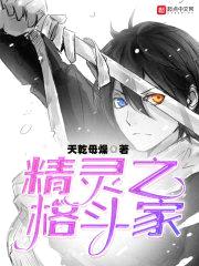 精灵之格斗家封面