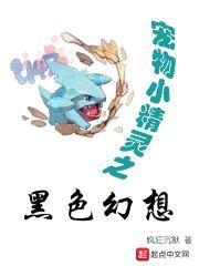 宠物小精灵之黑色幻想封面