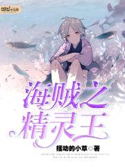 海贼之精灵王封面