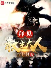 拜见教主大人封面