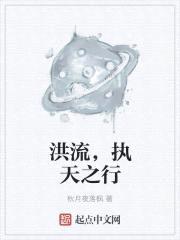 洪流，执天之行封面