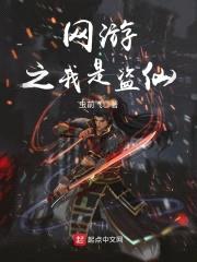 网游之我是盗仙封面