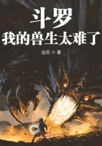 海贼王之枪神无双封面