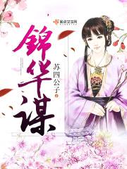 锦华谋封面