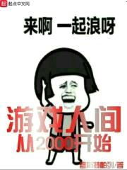 游戏人间从2000开始封面
