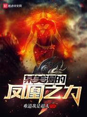 某美漫的凤凰之力封面