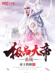 极品大帝系统封面