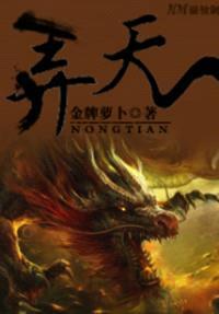 《弄天》封面