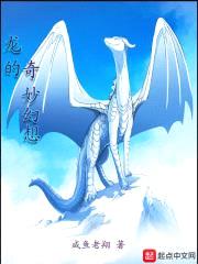 龙的奇妙幻想封面