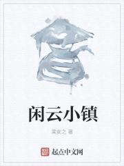 闲云小镇封面