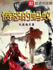 愤怒的蚂蚁封面