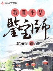 我真不是鉴宝师封面