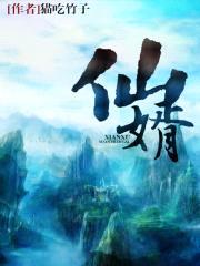 仙婿封面