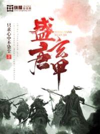 盛唐玄甲封面