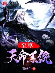 至尊天命系统封面