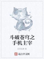斗破苍穹之手机主宰封面
