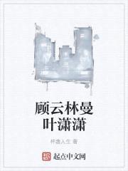 顾云林曼叶潇潇封面